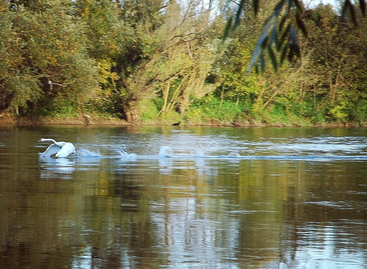 Zagreb, Kuca Za Odmor Swan River Holiday House Lasinja 外观 照片