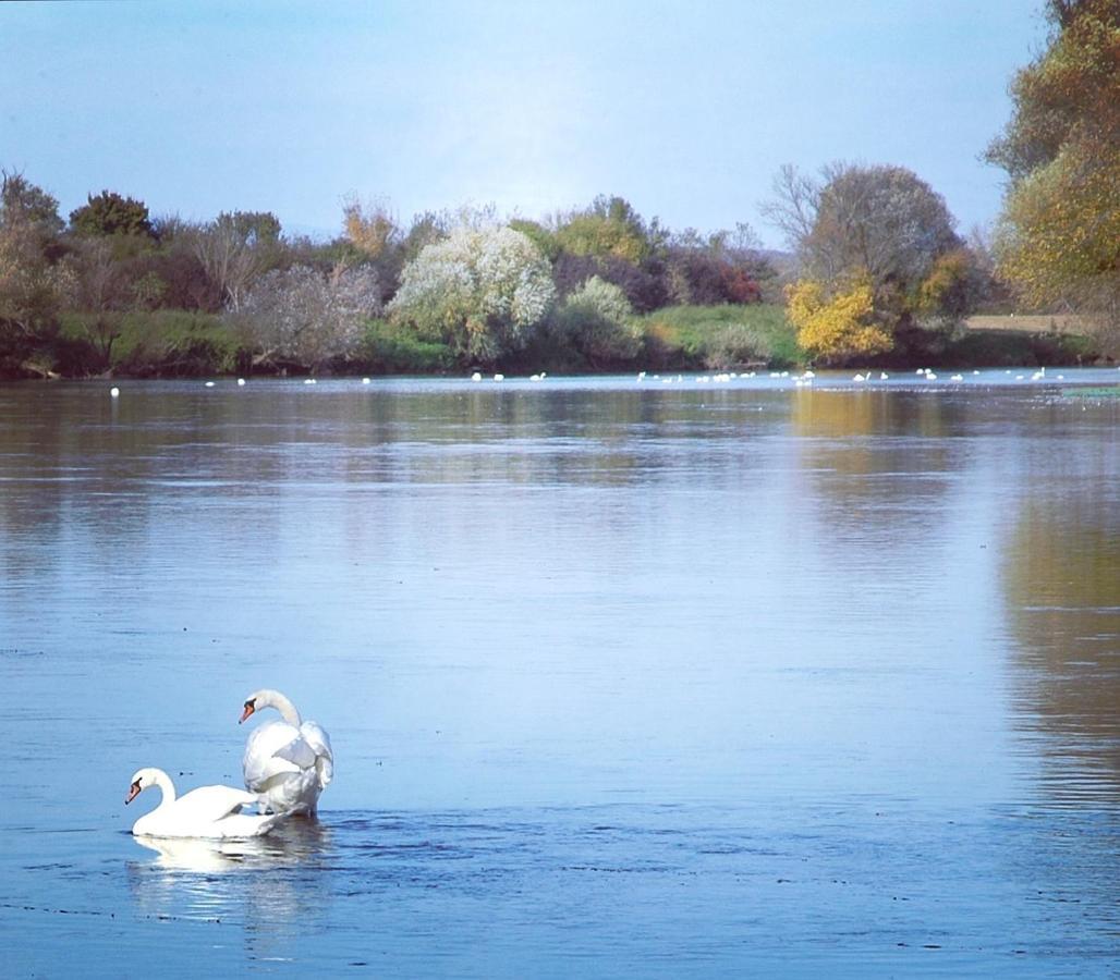 Zagreb, Kuca Za Odmor Swan River Holiday House Lasinja 外观 照片